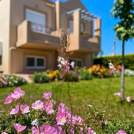 Casa Verde Houses Kos-Stadt Exterior foto